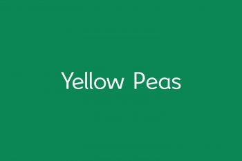 Yellow Peas Free Font