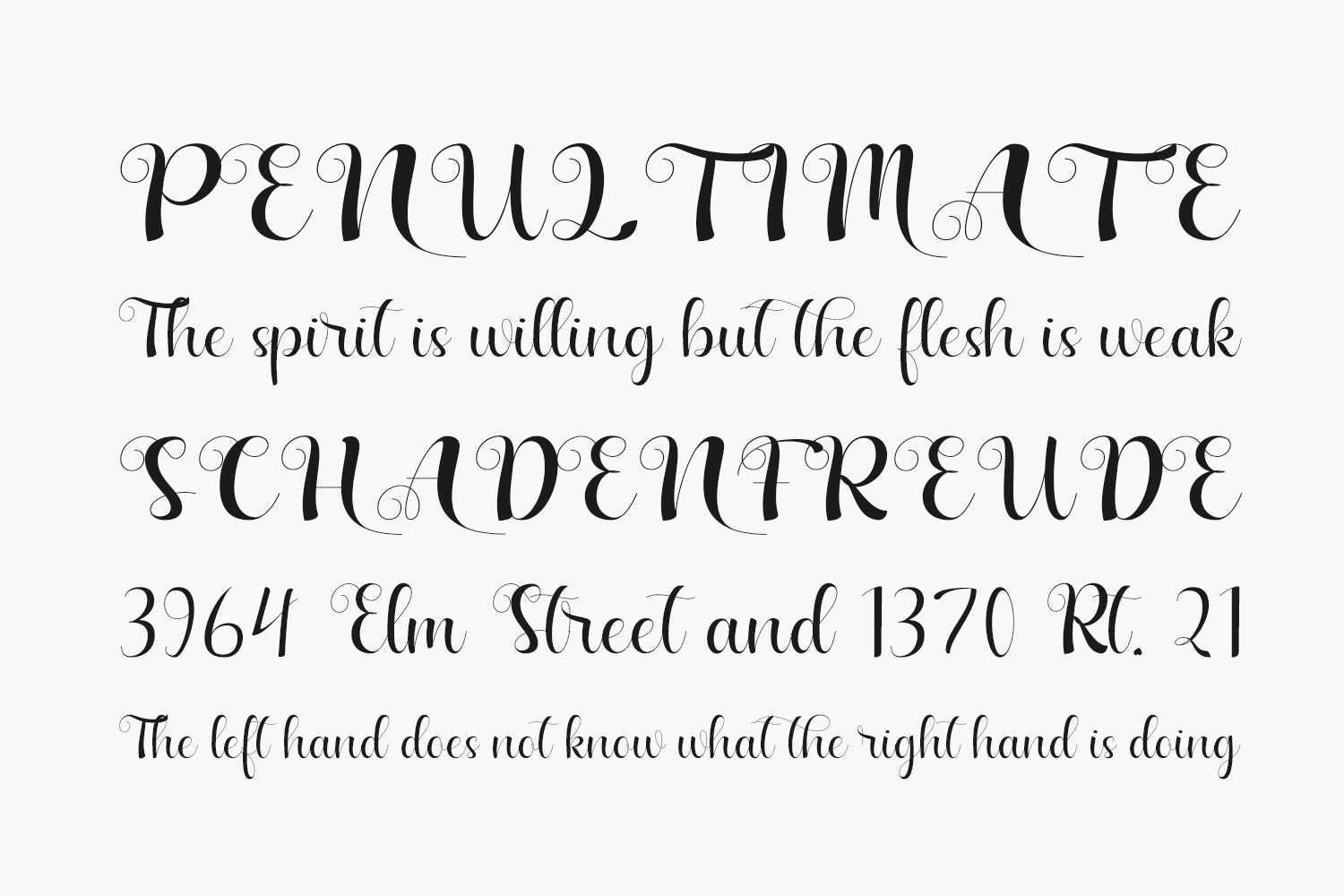 New Chapter Free Font