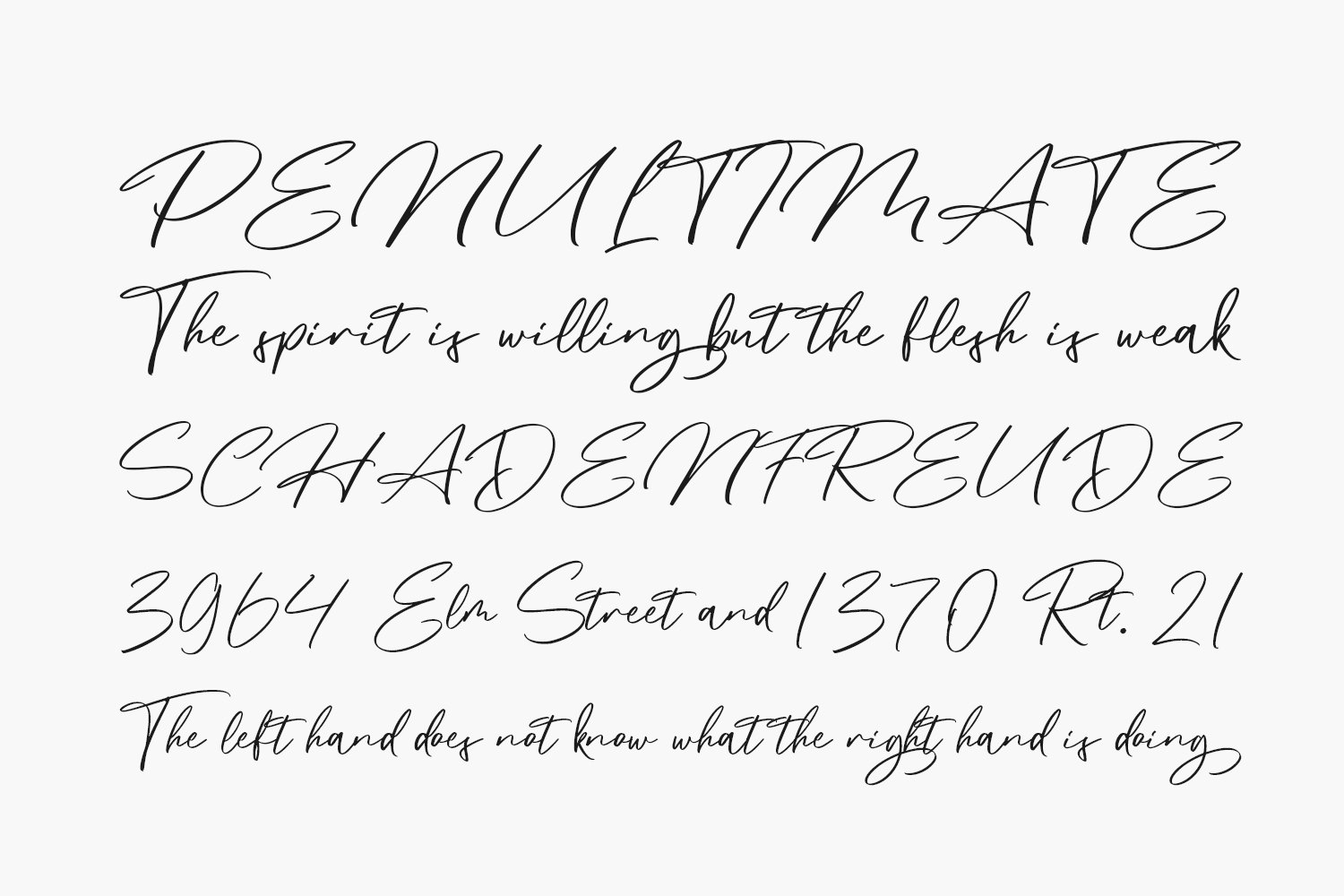 Maginted Free Font