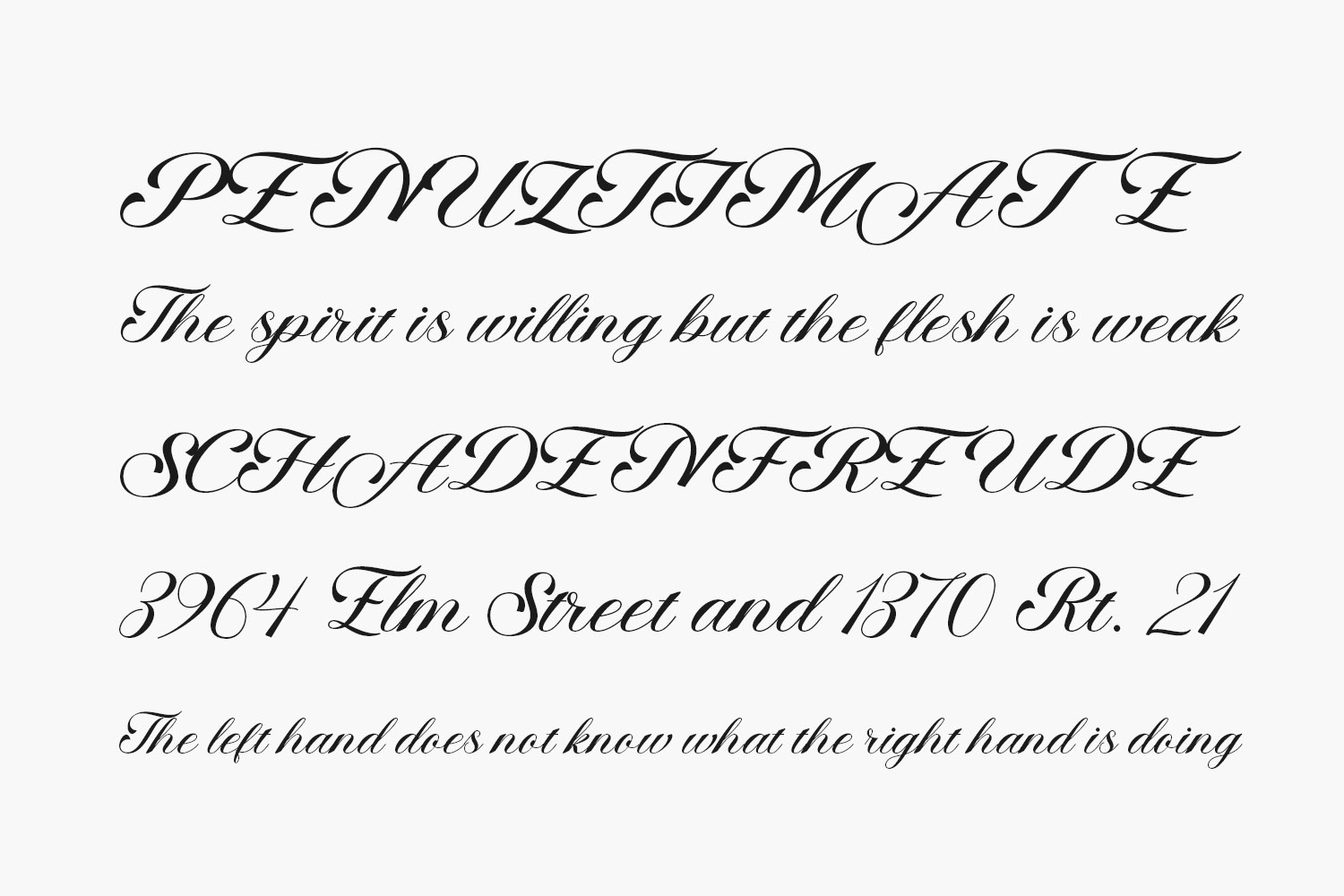 angelta-script-free-font-02 | Fonts Shmonts