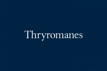 Thryromanes Free Font