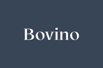 Bovino Free Font