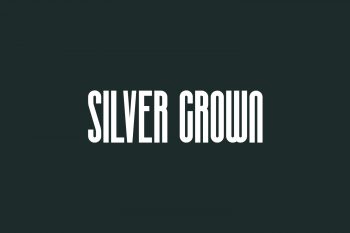 Silver Crown Free Font