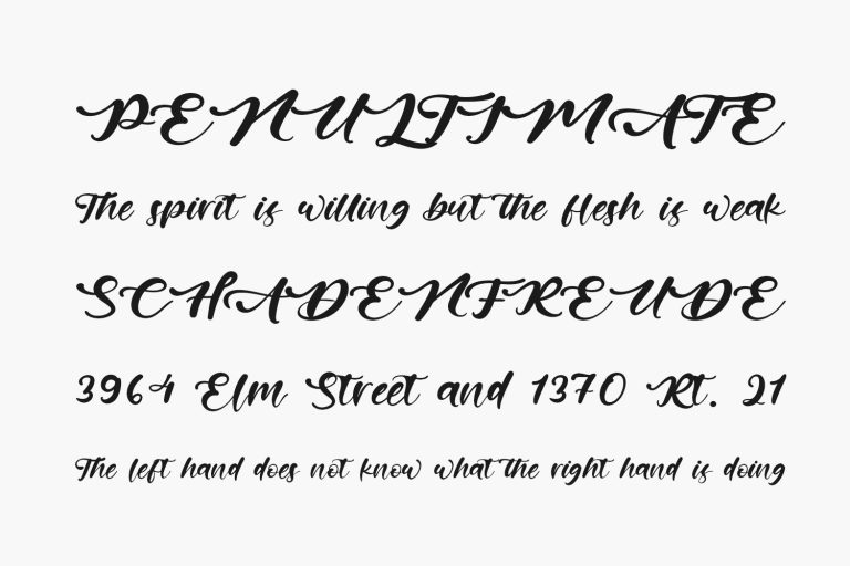 Artistic Calligraphy Fonts Shmonts