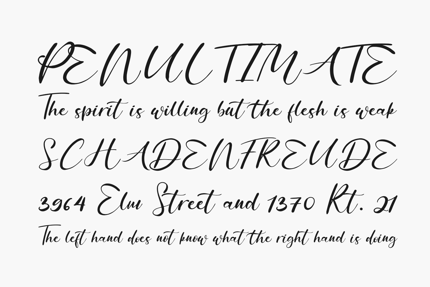 Anythings Free Font