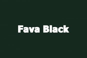 Fava Black Free Font