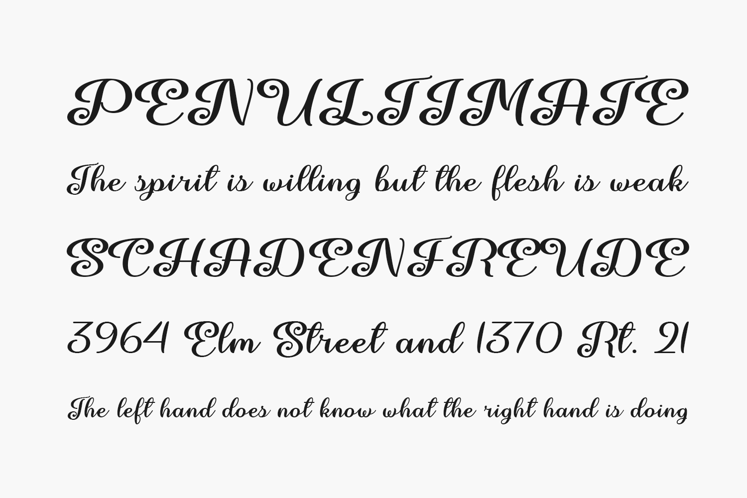 June Calligraphy Free Font