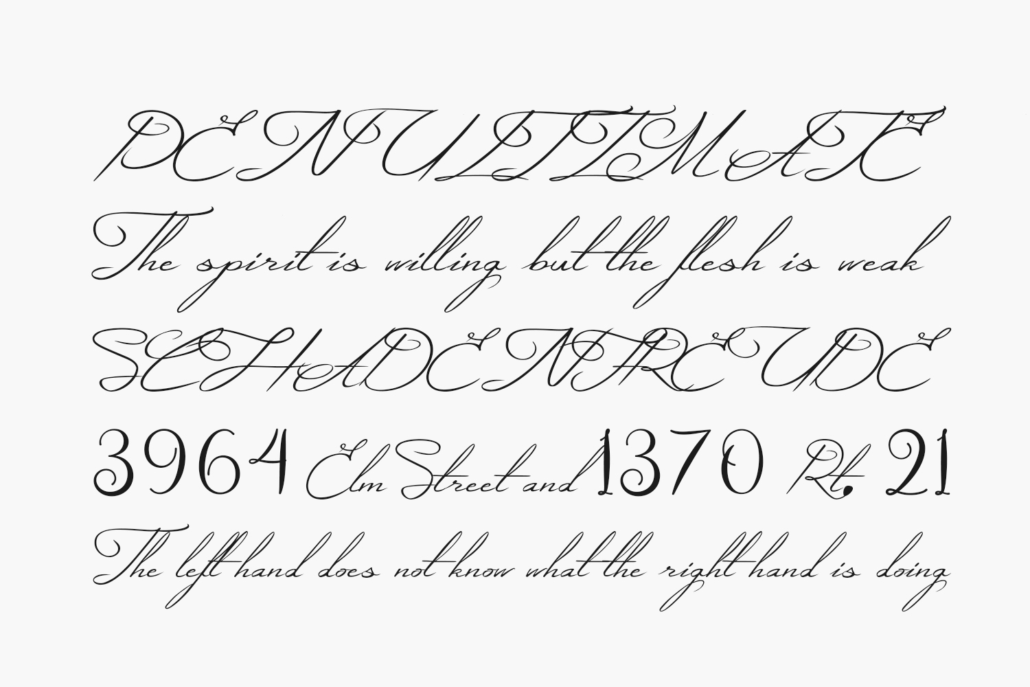 Mysterious Elegance Free Font