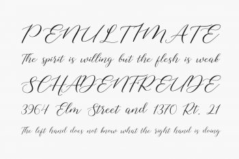 Shelline Writing Shelline | Fonts Shmonts