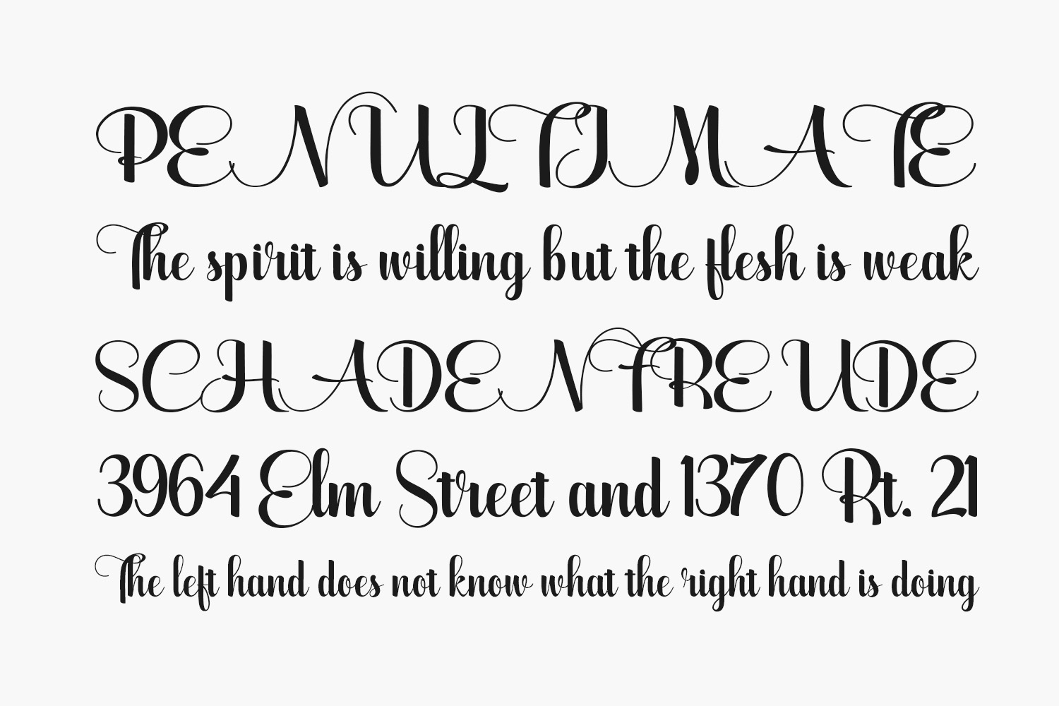 Wolf Bane Pro Free Font