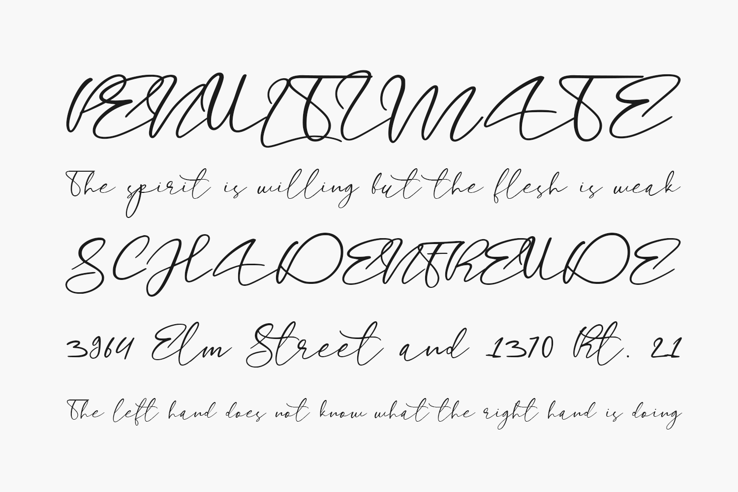 Longtail Free Font