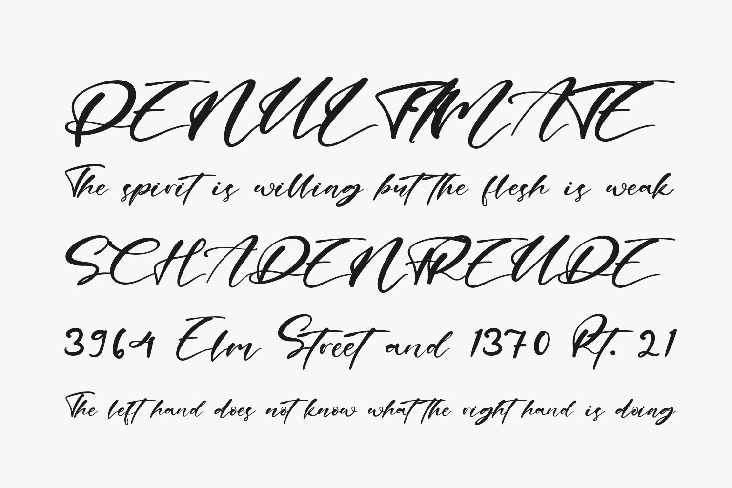 Angela Berdantte Free Font