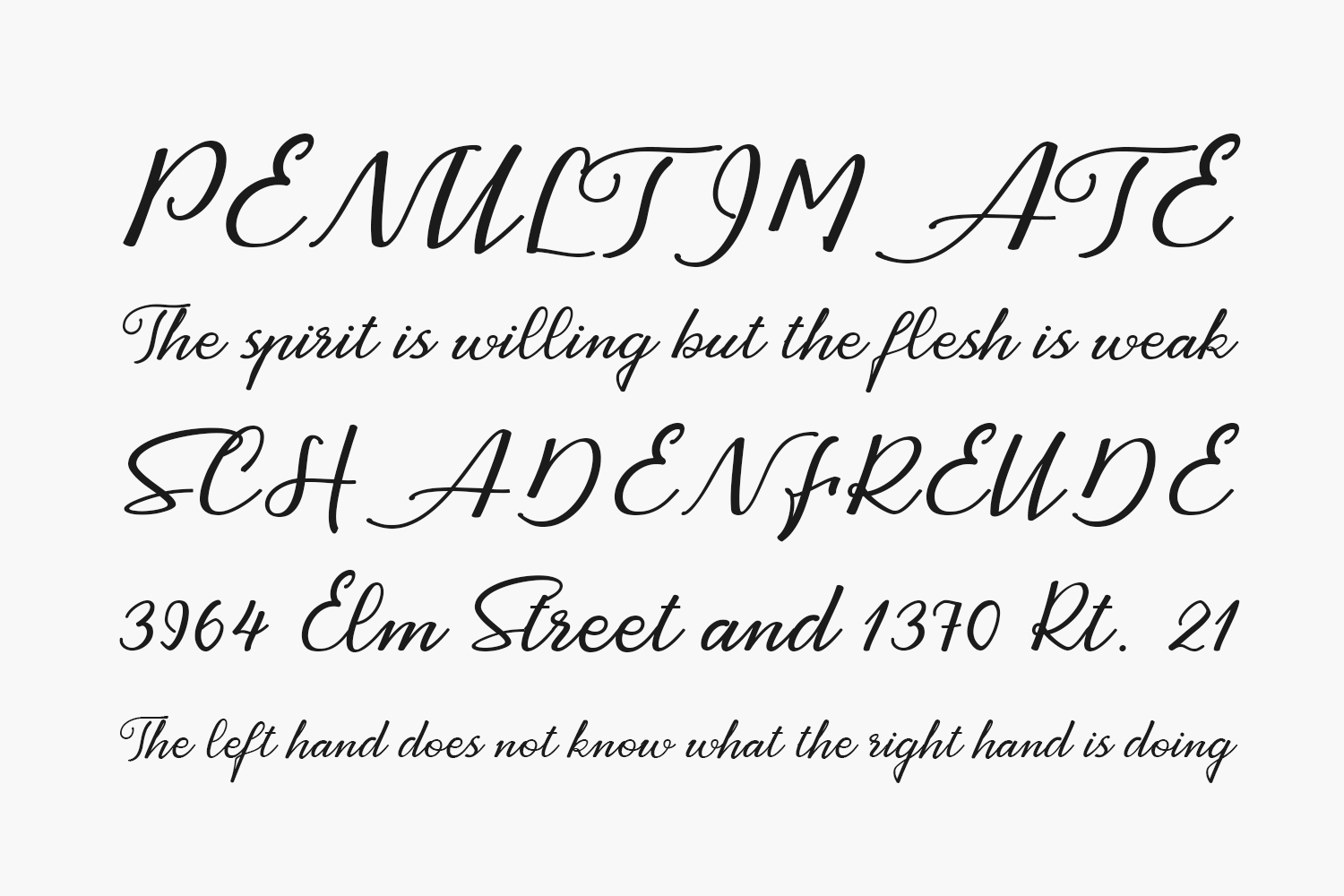 Ayrton Pight Free Font