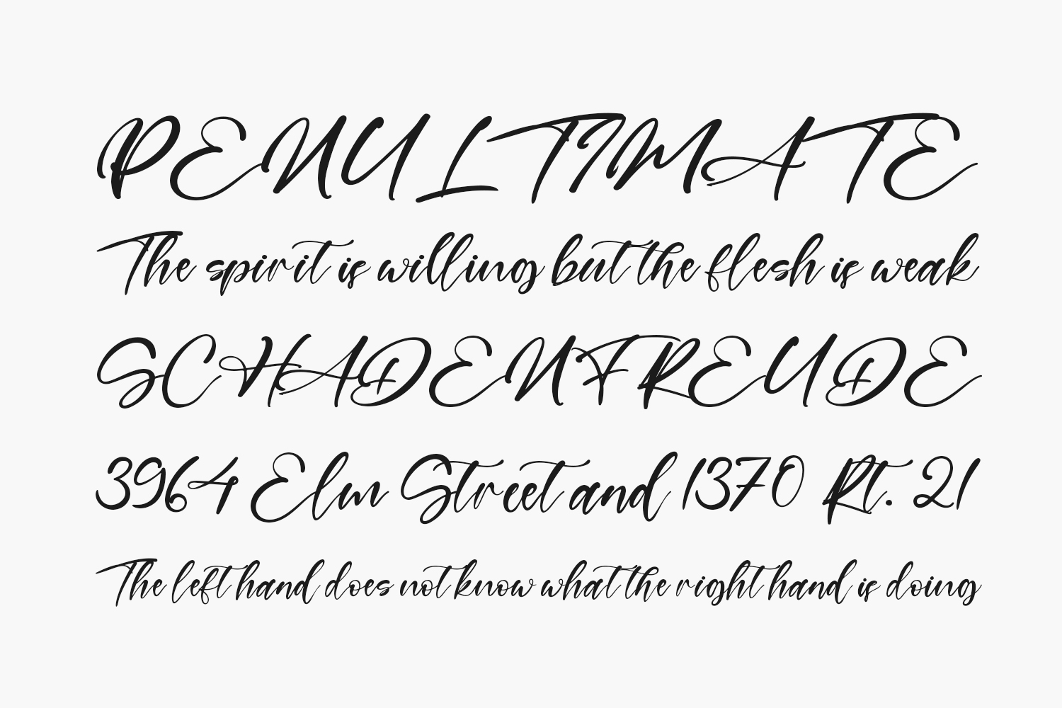 Branches Free Font