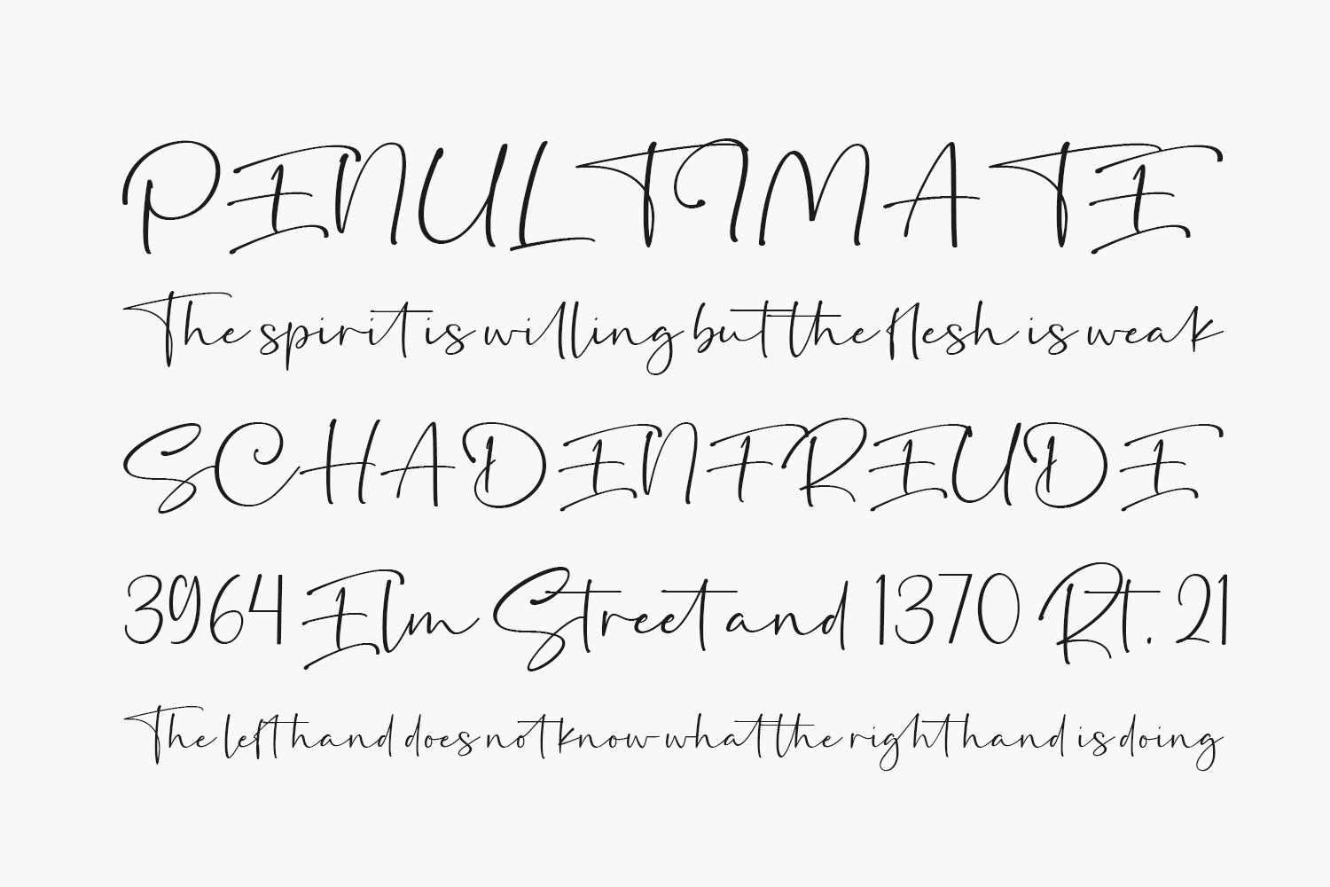 Secretoria Free Font