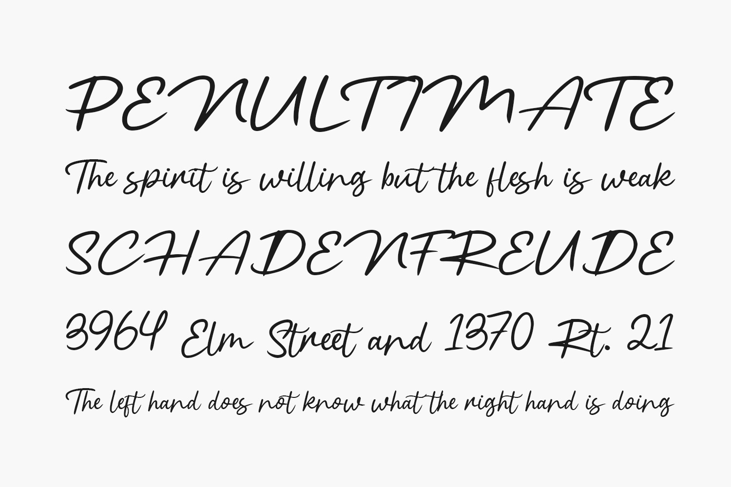 Black Rotela Free Font