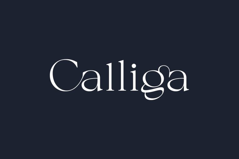 free elegant fonts for programs free elegant fonts for programs