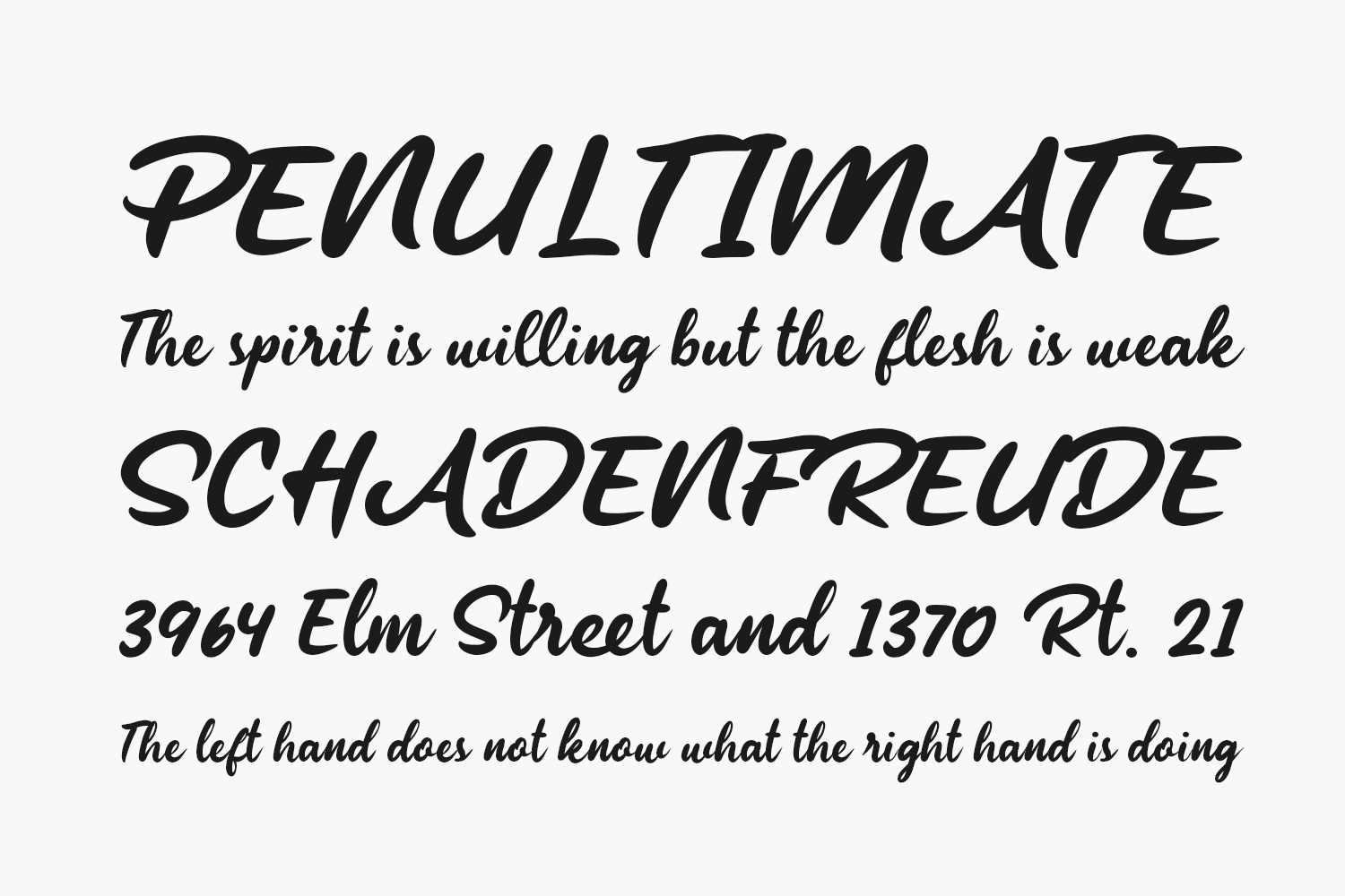 Elisein Free Font