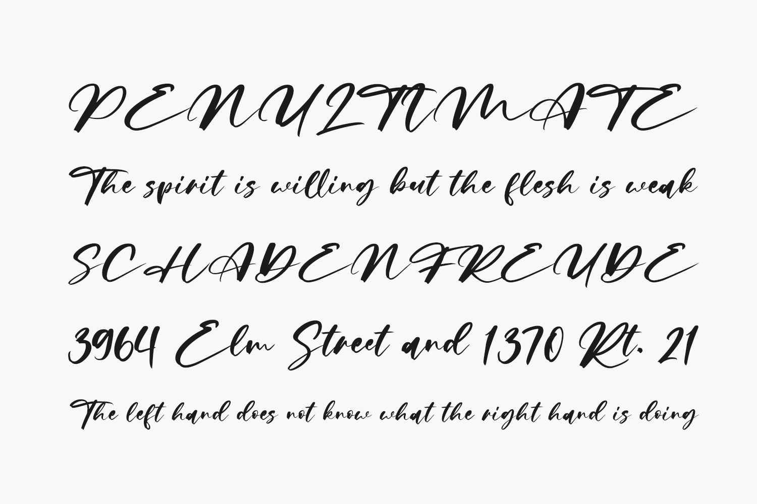 Limited Edition Free Font