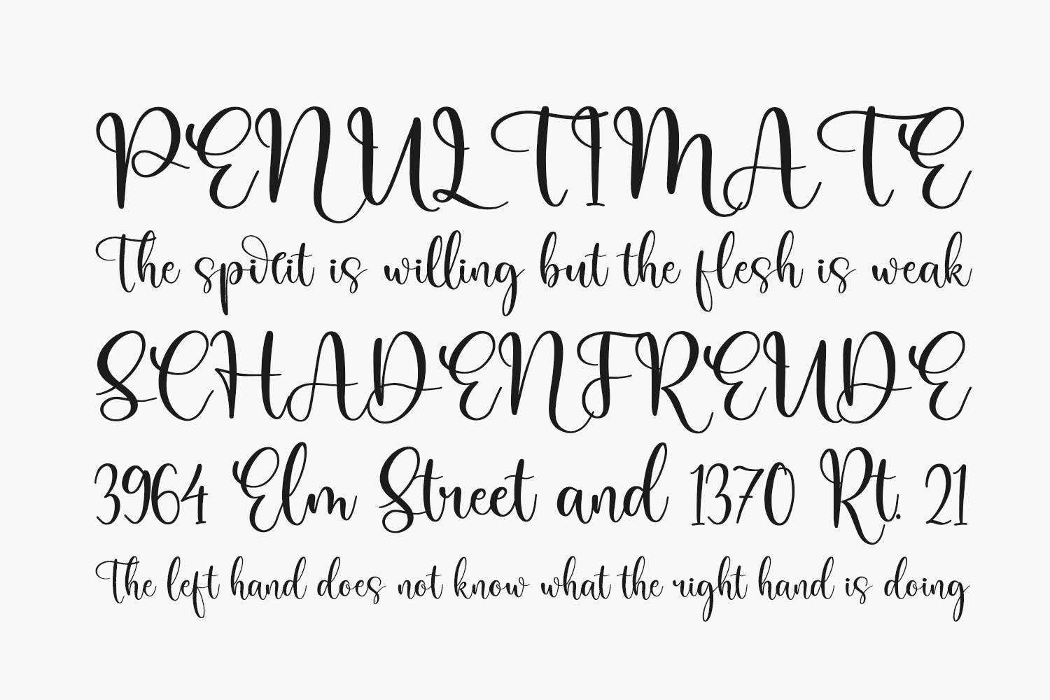 Rosalinda Berlinata Free Font