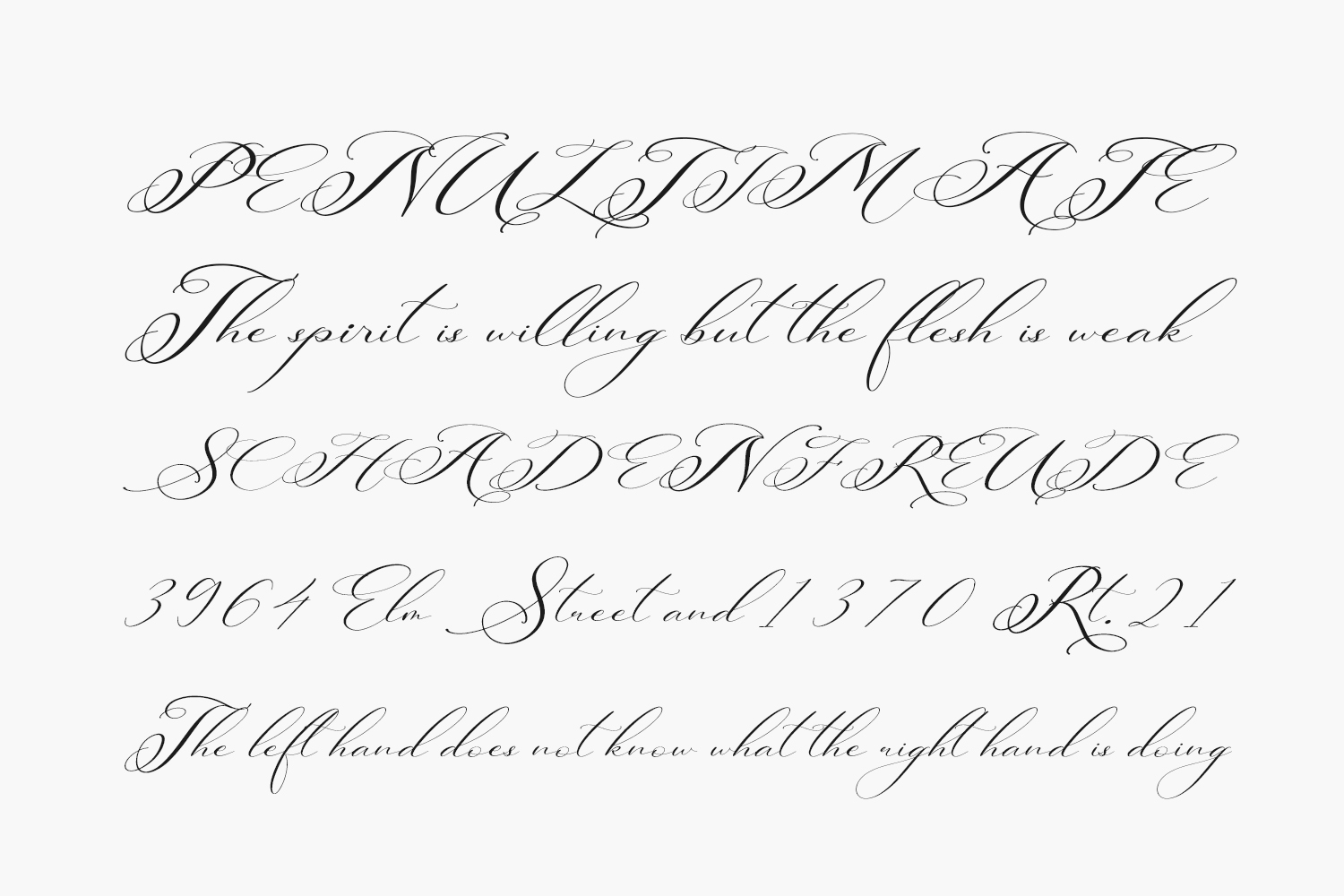 Berlishanty Calligraphy Free Font