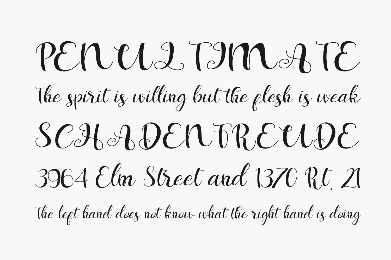 Elizabeth Darby Free Font