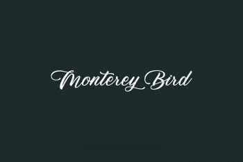 Monterey Bird Free Font
