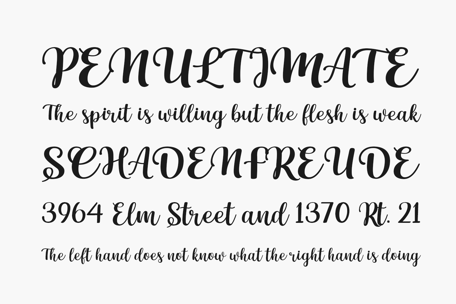 Winter Beauty Script Free Font