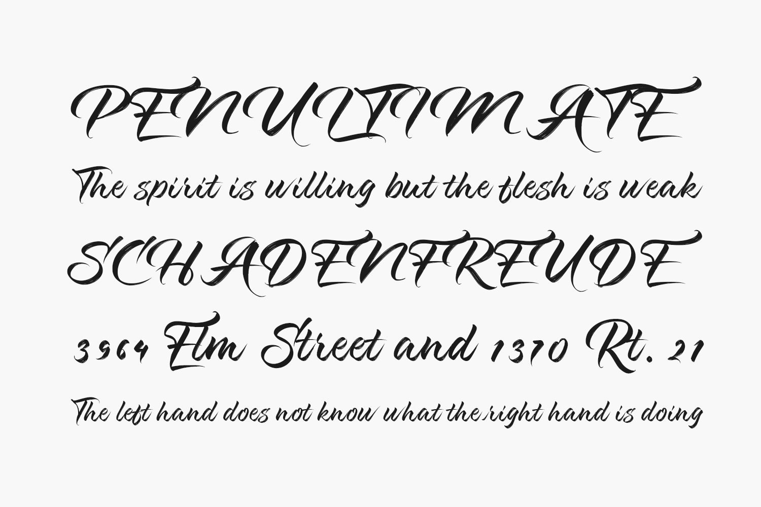 Kashina Free Font