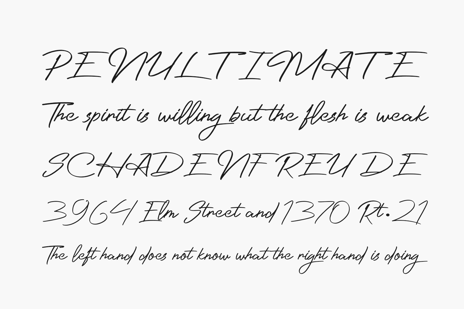 Photographer Script Free Font