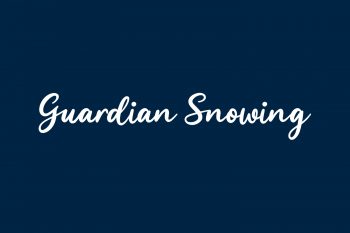 Guardian Snowing