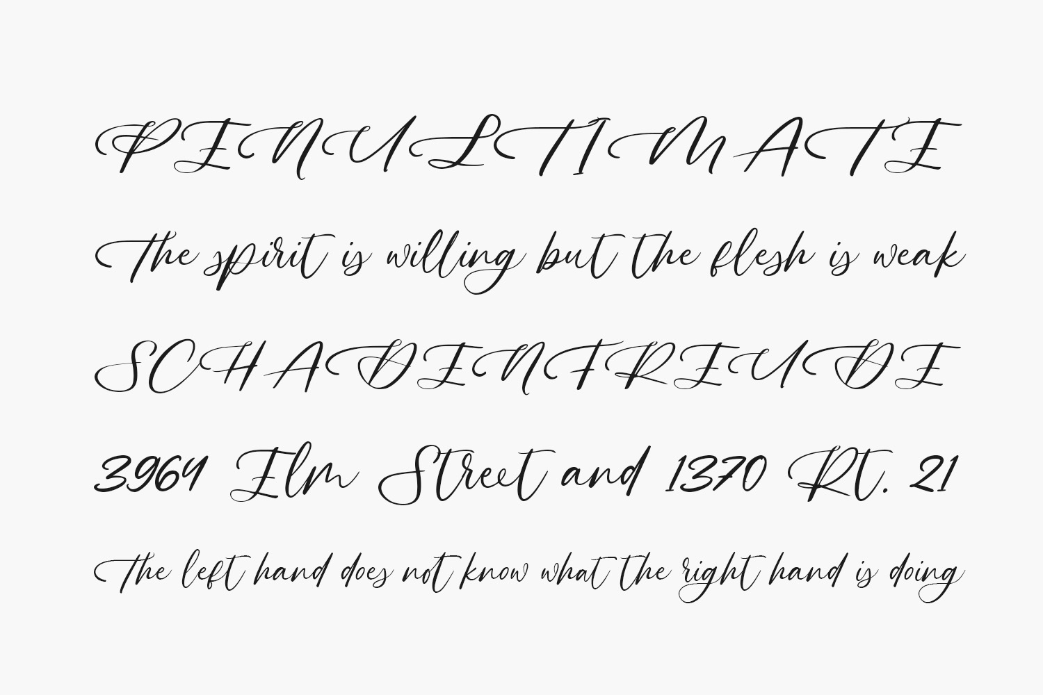 Golden Bloom Free Font