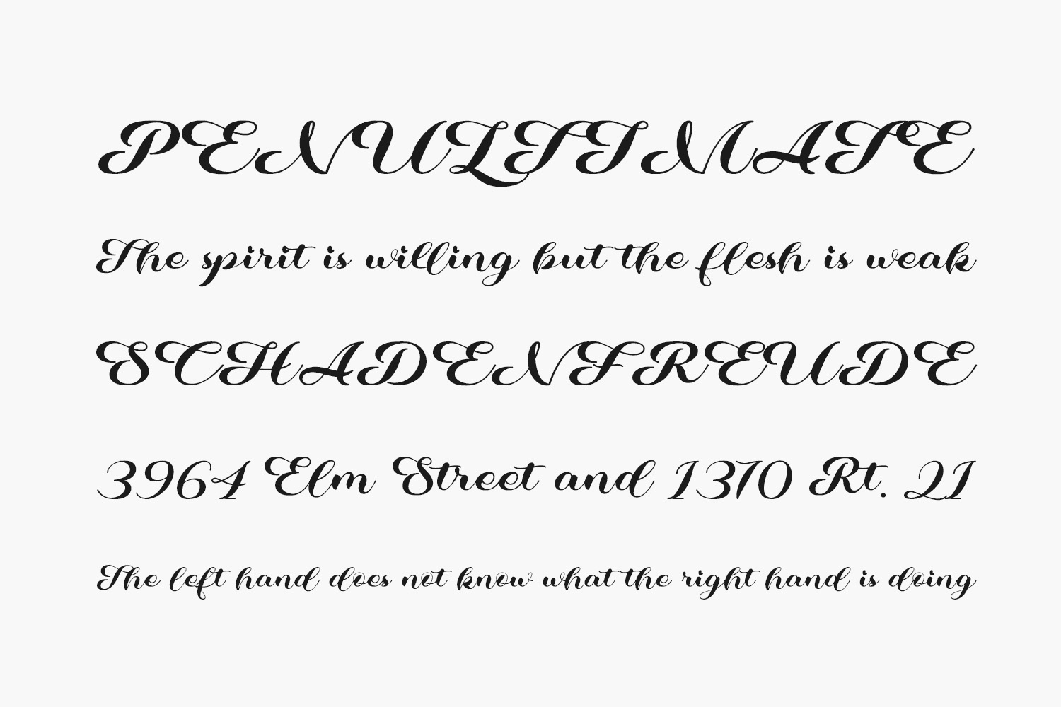 Kalina Free Font