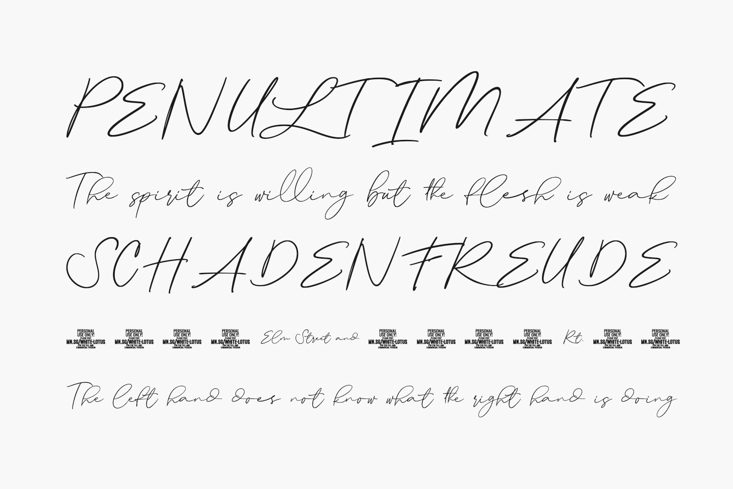 White Lotus Free Font