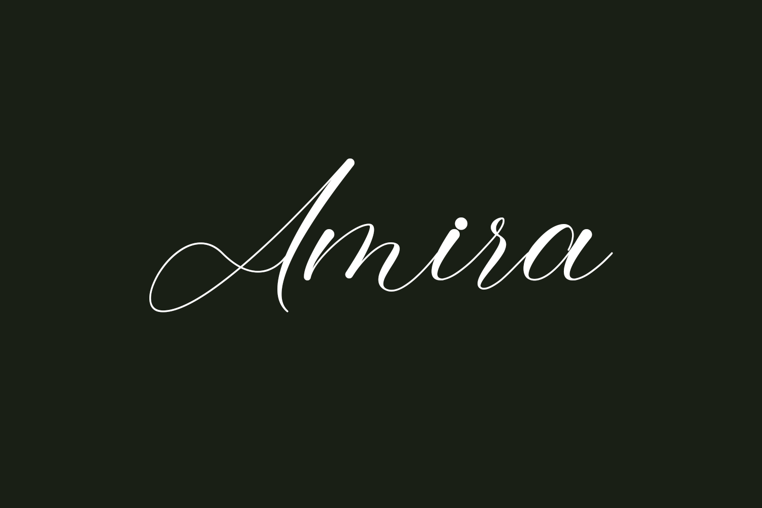 Amira Fonts Shmonts
