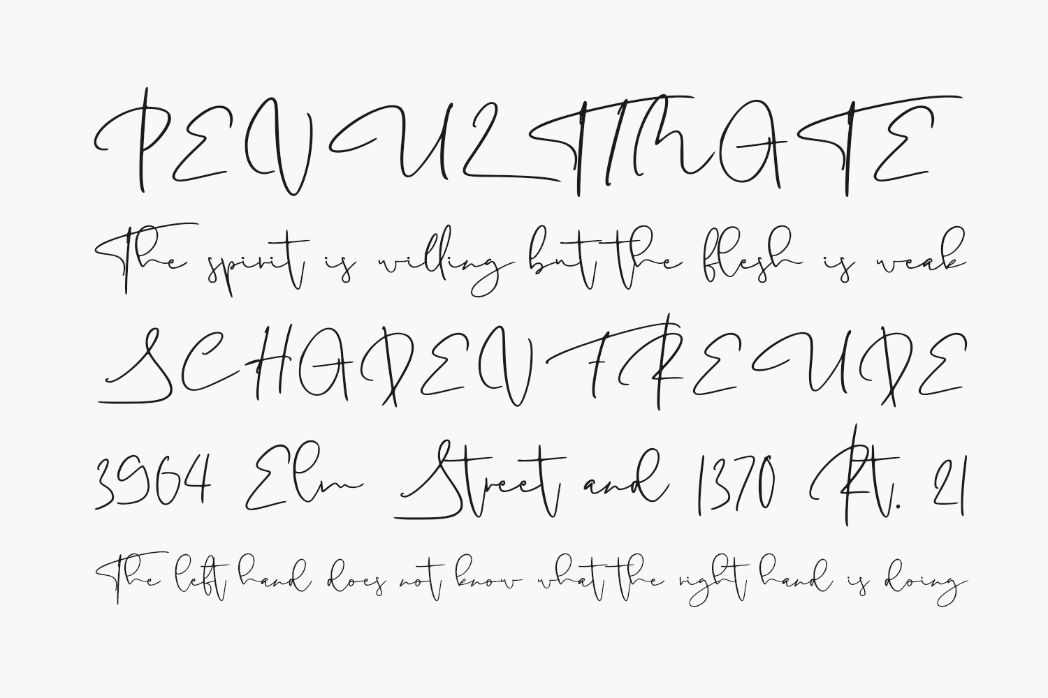 Antoinette Free Font