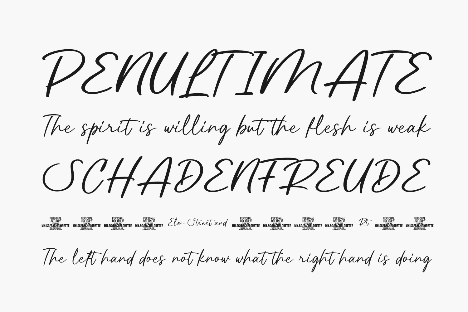 Bachelorette Free Font