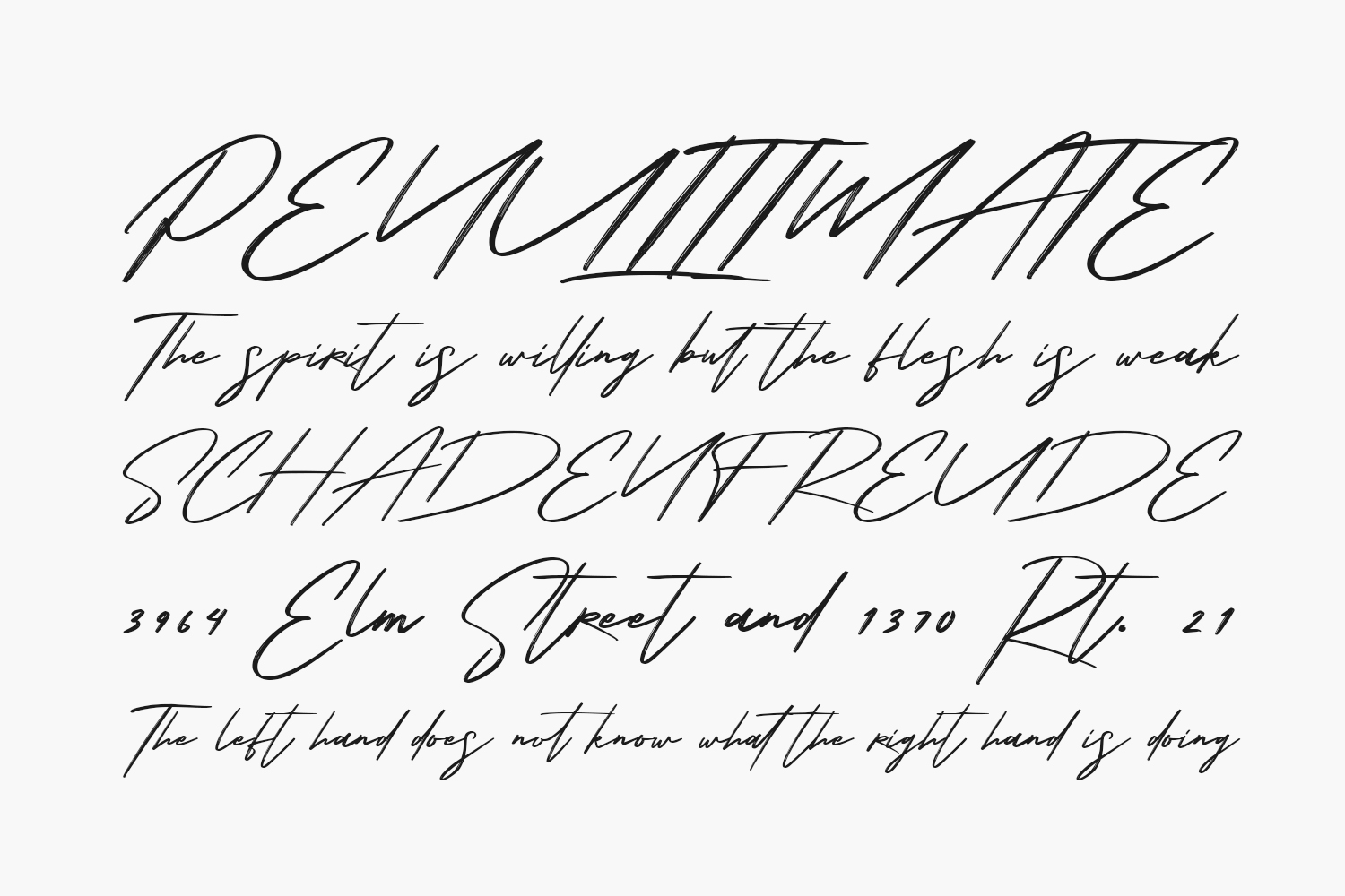 Karlotus Free Font