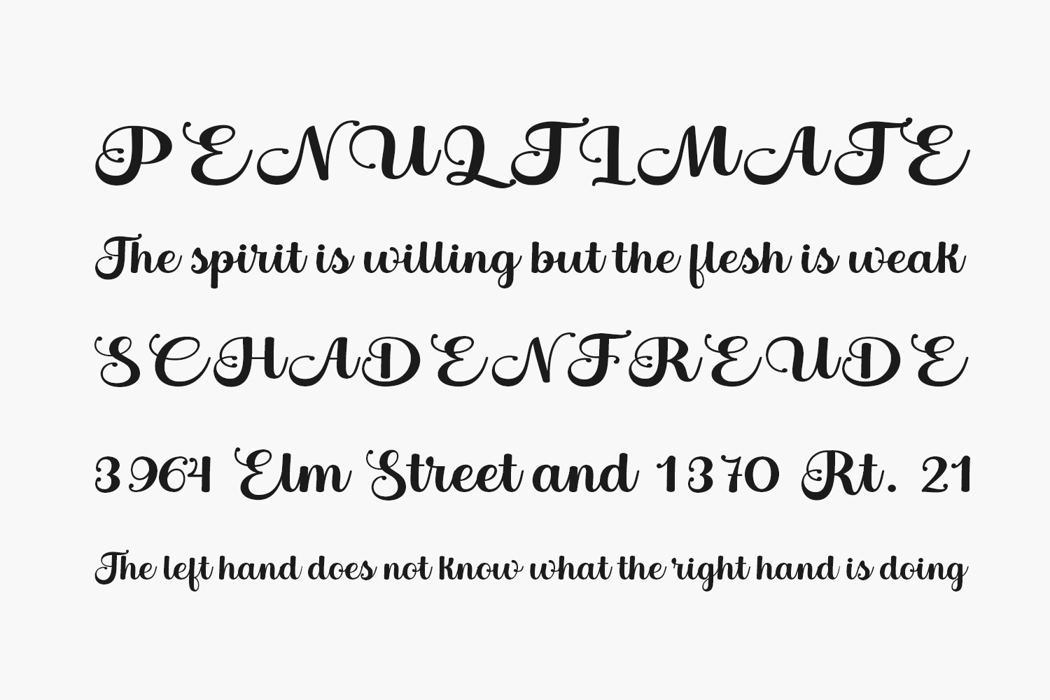 Bertha Script Free Font