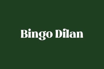 Bingo Dilan Free Font