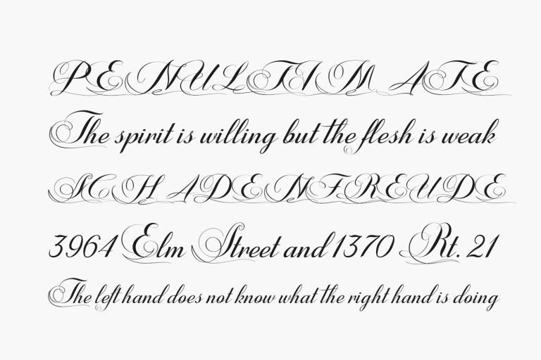 Shannia | Fonts Shmonts