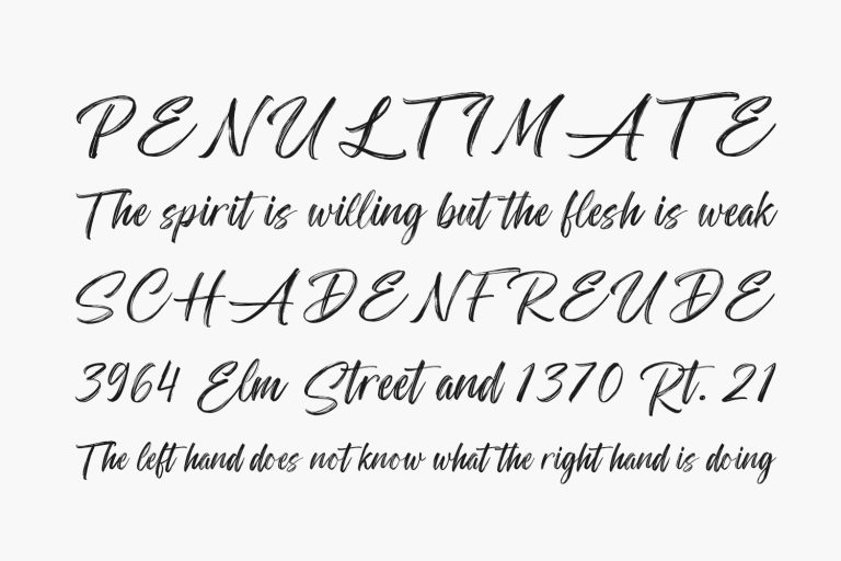 Paint Brush Script Fonts Shmonts