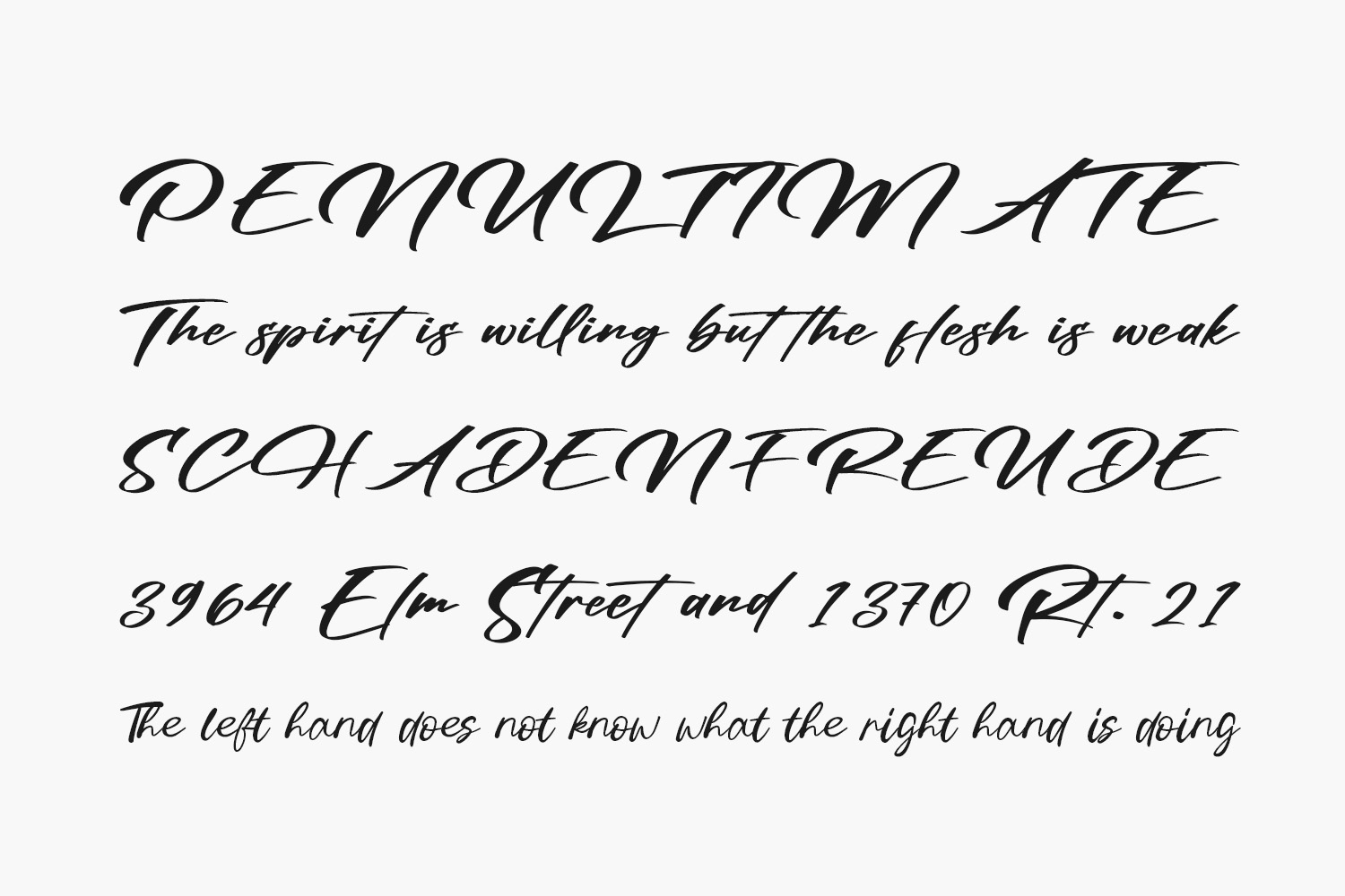 Ronsttom Dollast Free Font