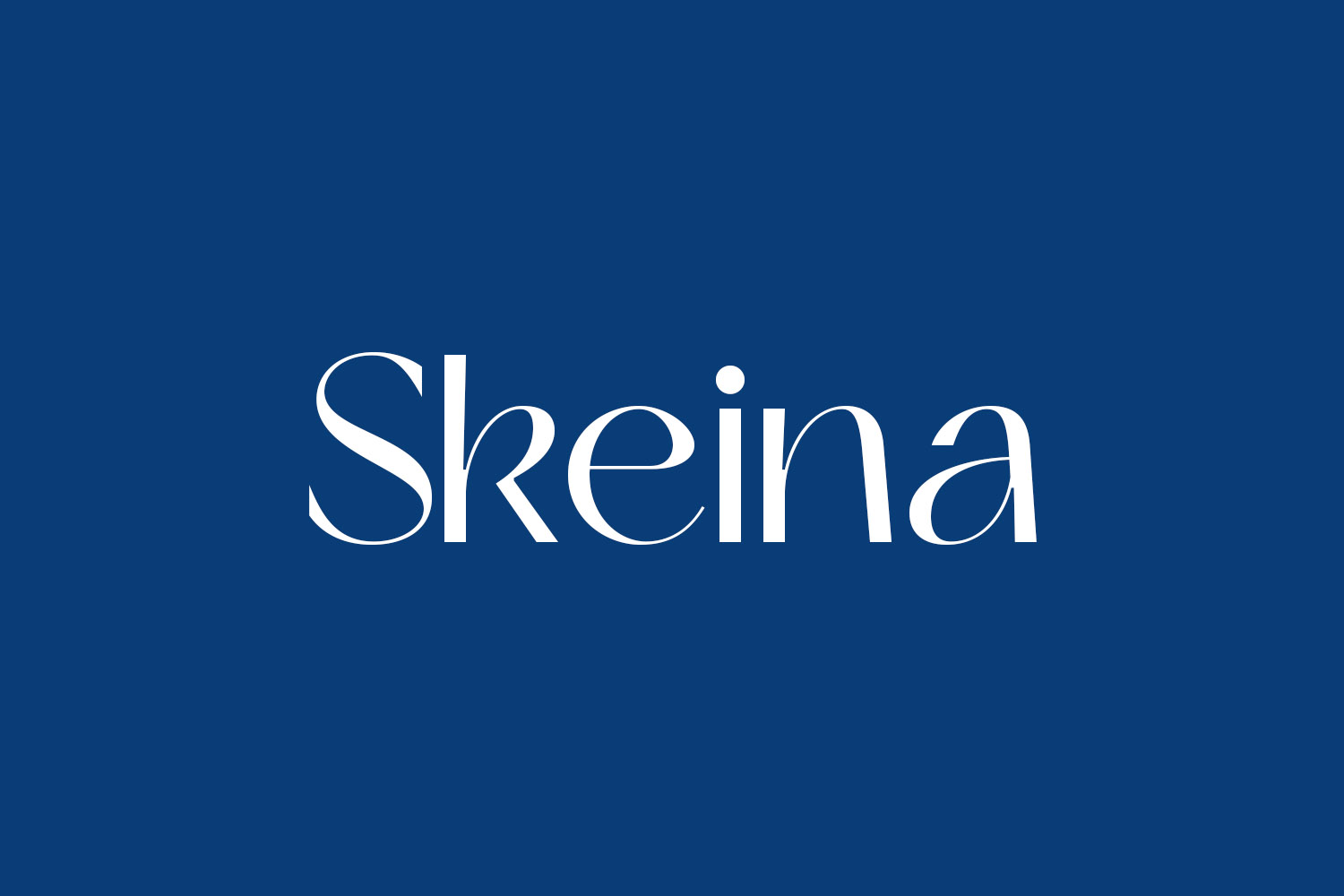 Skeina Fonts Shmonts Skeina Fonts Shmonts