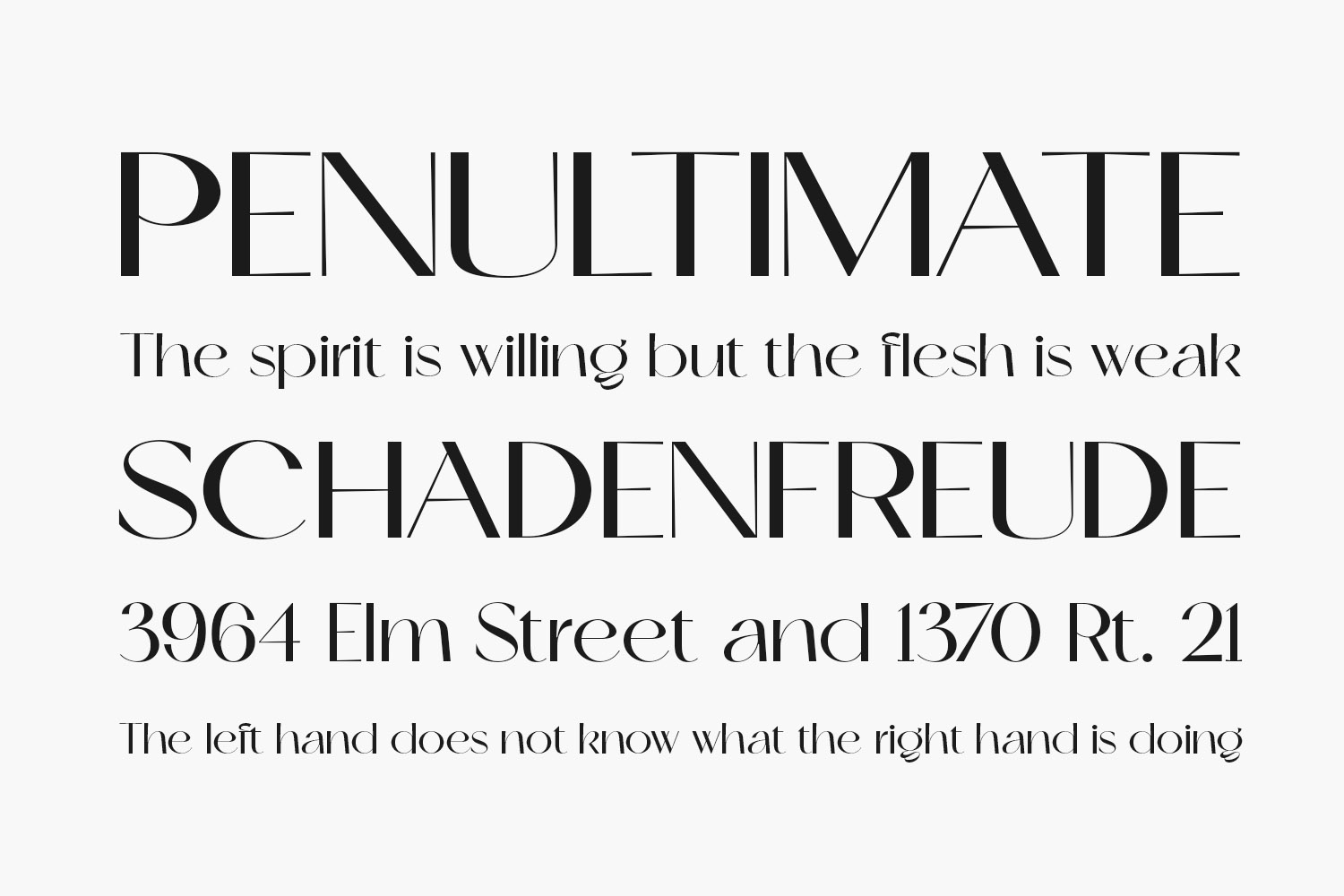 Skeina Fonts Shmonts Skeina Fonts Shmonts