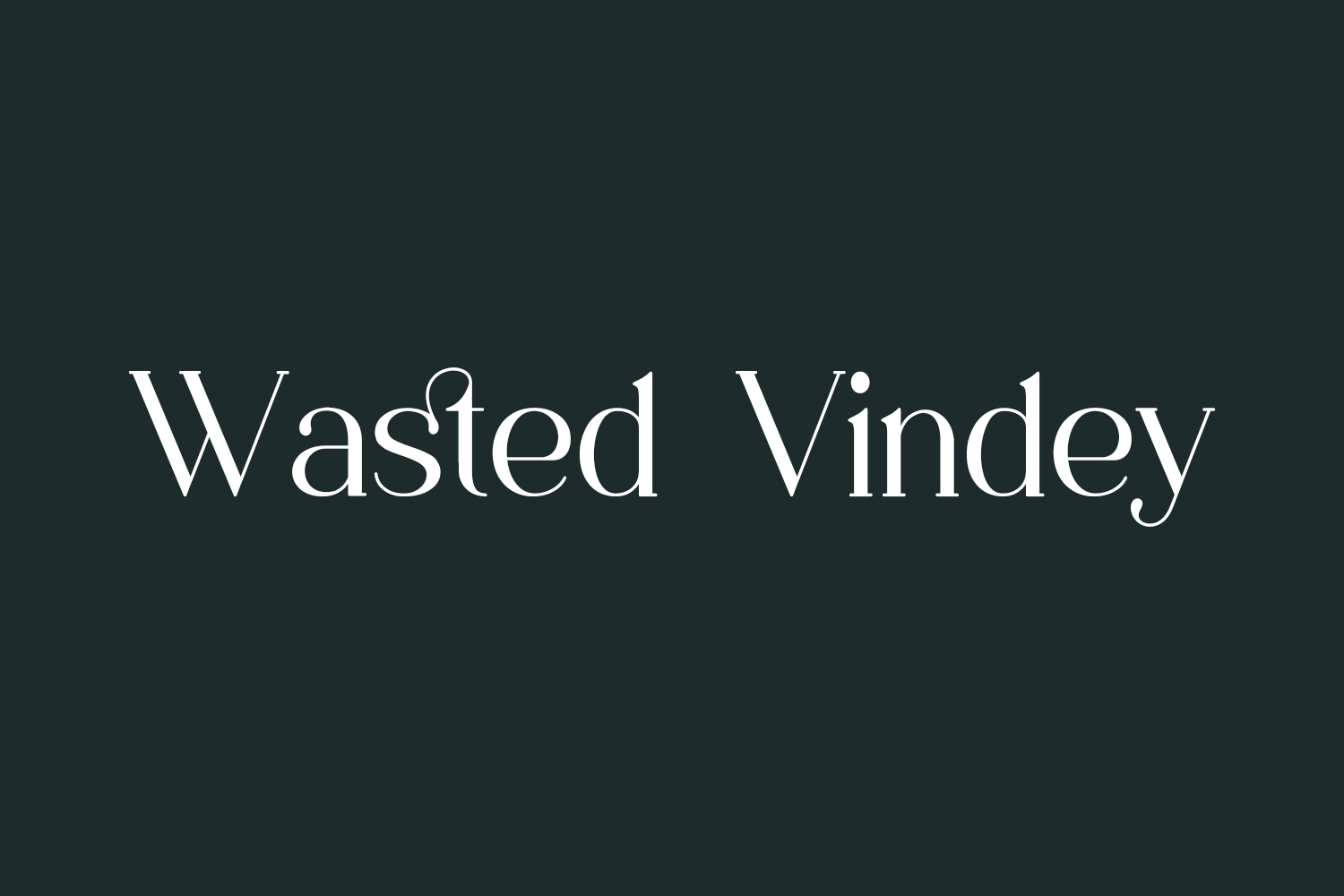 Wasted Vindey Free Font
