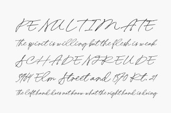 Valintina Free Font | Fonts Shmonts